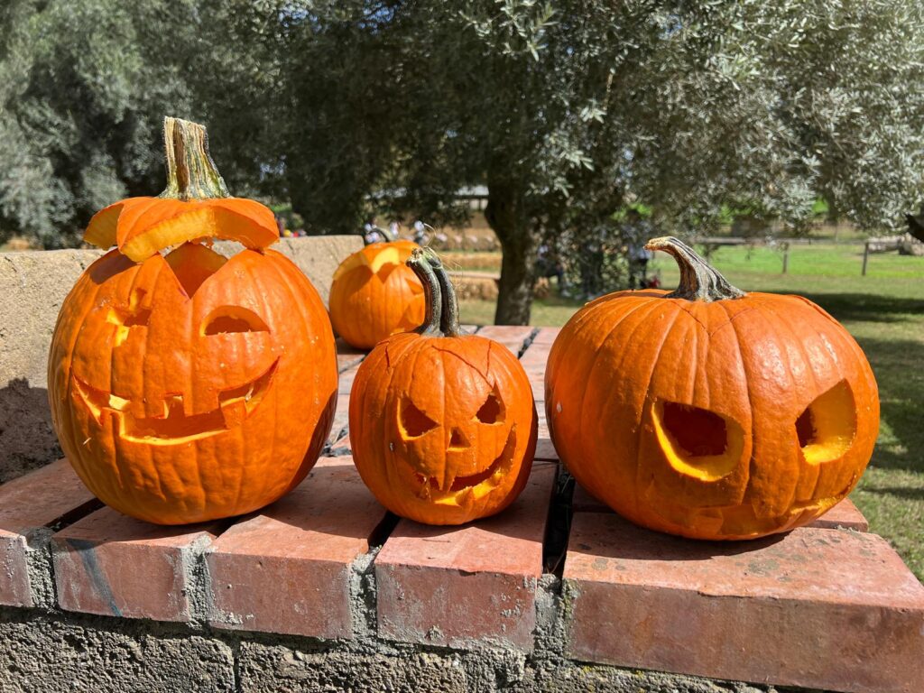 Autunno nei pumpkin patch